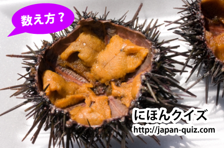 うにクイズ