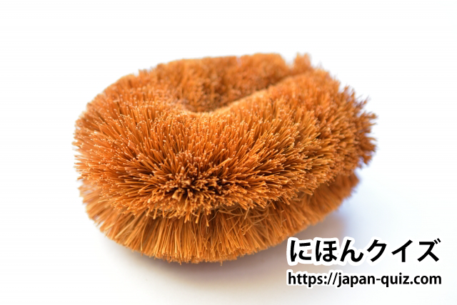 にほんごクイズ問題