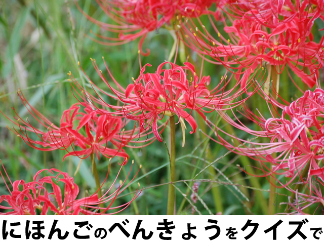 にほんごクイズ